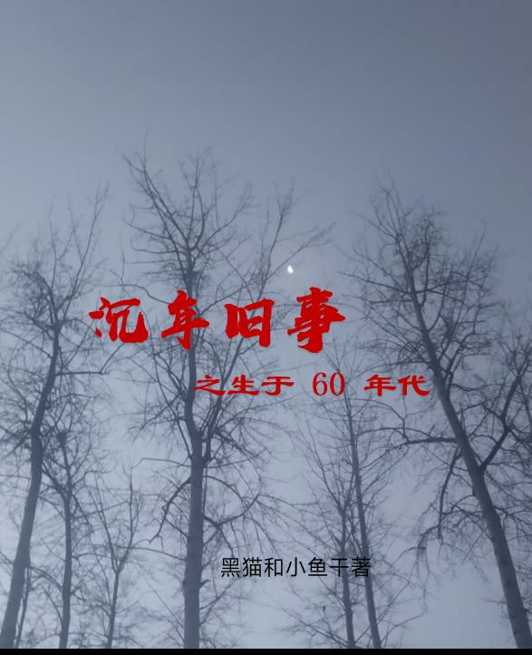 陈年往事什么意思