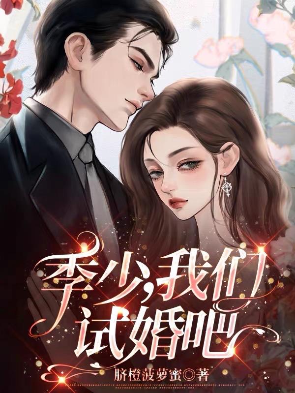 季先生我们离婚吧小说全文